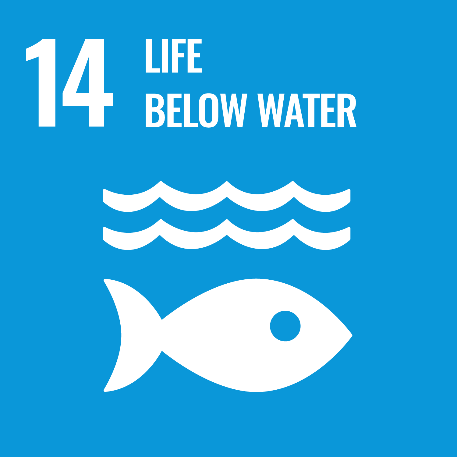 UN Sustainable Development Goal 14 — Life Below Water