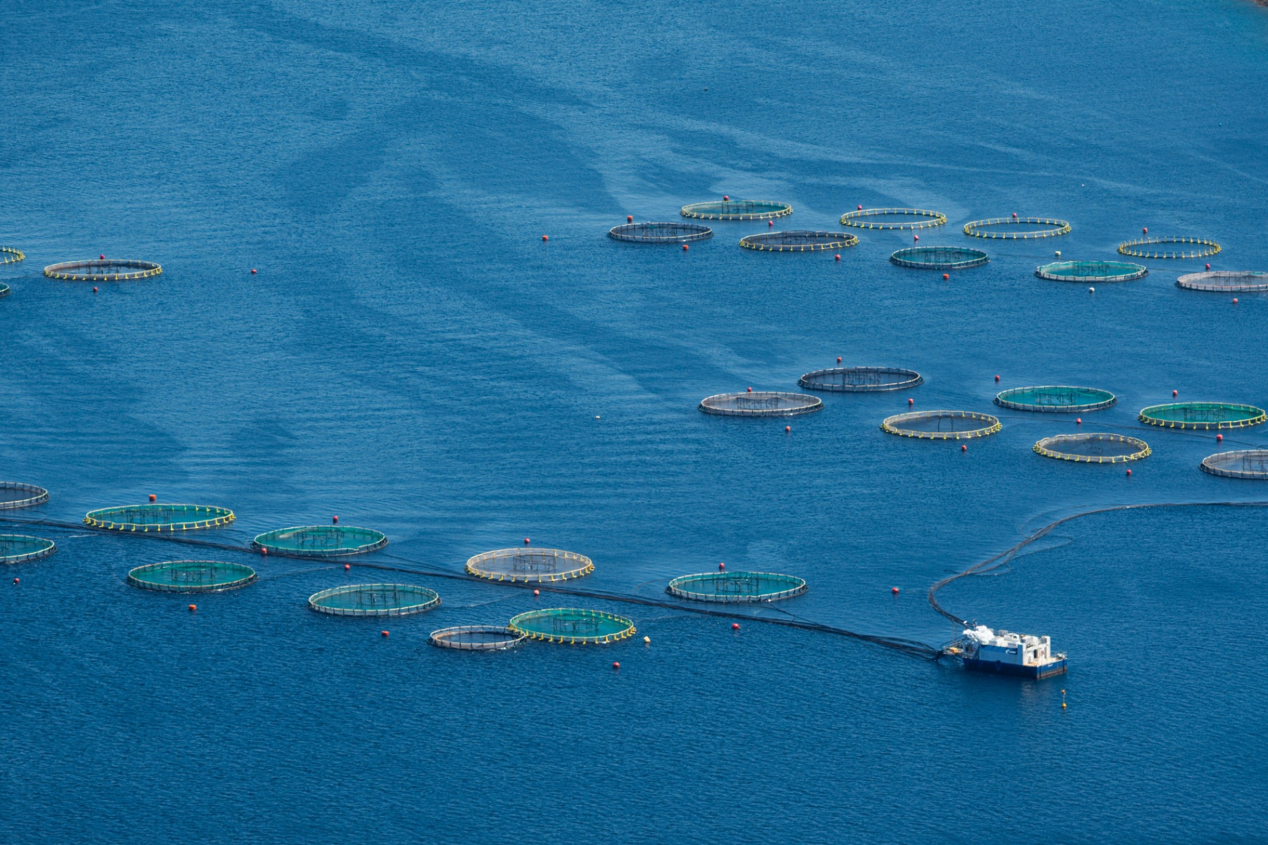 Offshore aquaculture pens